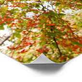 36x24-Wall-Poster Poster (Ecke)