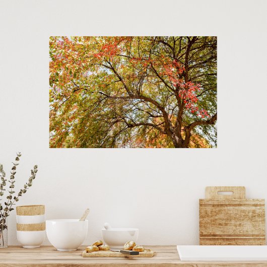 36x24-Wall-Poster Poster (Küche)