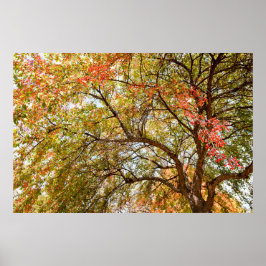 36x24-Wall-Poster Poster