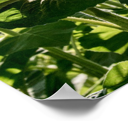 36x24-Wall-Poster Poster (Ecke)