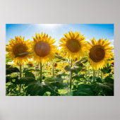 36x24-Wall-Poster Poster (Vorne)