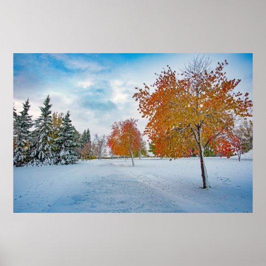 36x24-Wall-Poster Poster (Vorne)