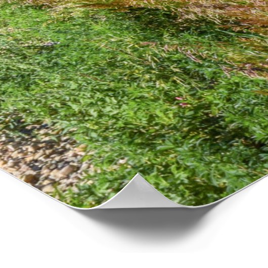 36x24-Wall-Poster Poster (Ecke)