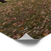 36x24-Wall-Poster Poster (Ecke)