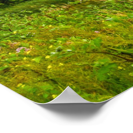 36x24-Wall-Poster Poster (Ecke)