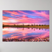 36x24-Wall-Poster Poster (Vorne)