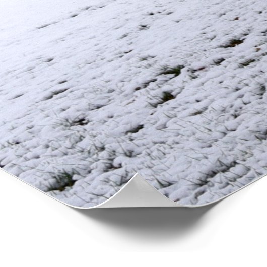 36x24-Wall-Poster Poster (Ecke)