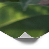 36x24-Wall-Poster Poster (Ecke)