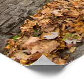 36x24-Wall-Poster Poster (Ecke)