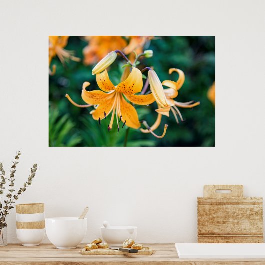 36x24-Wall-Poster Poster (Küche)