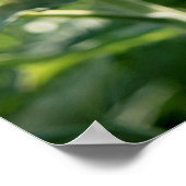 36x24-Wall-Poster Poster (Ecke)