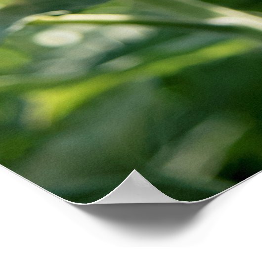 36x24-Wall-Poster Poster (Ecke)