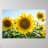 36x24-Wall-Poster Poster (Vorne)