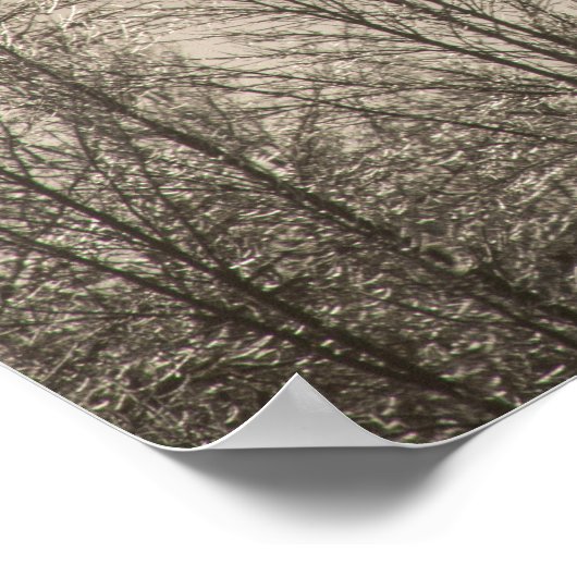 36x24-Wall-Poster Poster (Ecke)