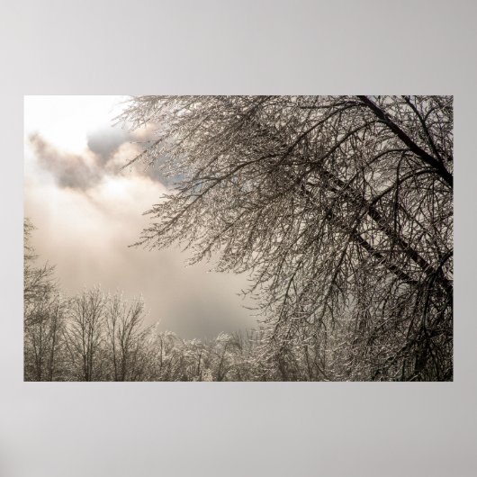 36x24-Wall-Poster Poster (Vorne)