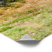 36x24-Wall-Poster Poster (Ecke)