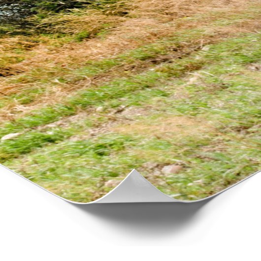 36x24-Wall-Poster Poster (Ecke)