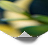 36x24-Wall-Poster Poster (Ecke)