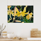 36x24-Wall-Poster Poster (Küche)