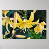 36x24-Wall-Poster Poster (Vorne)