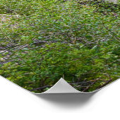 36x24-Wall-Poster Poster (Ecke)