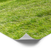 36x24-Wall-Poster Poster (Ecke)