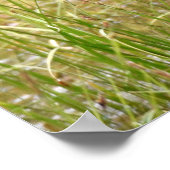 36x36 Plakatpapier (Matte) aus Elch Poster (Ecke)