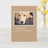 3780 Gut, Hund Karte (Gelbe Blume)