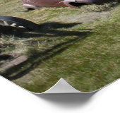 37 Chevrolet Poster (Ecke)