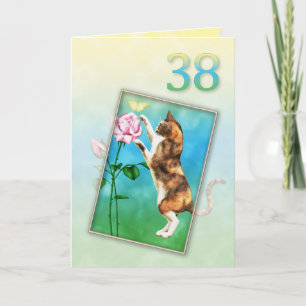 38. Geburtstag mit einer spielerischen Katze Karte