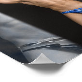 39291cal Poster (Ecke)