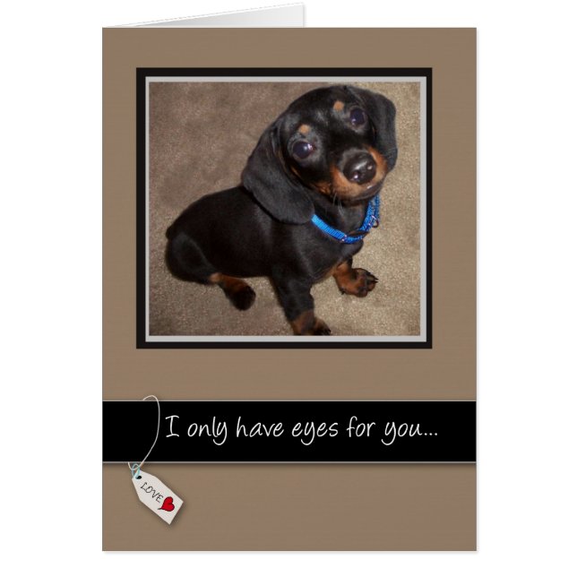 3938 Liebe Ihr Hund (Vorne)