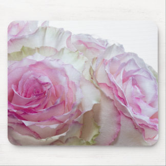 3998-Rosen, rosa und weiß Mousepad