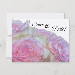 3998-Weiß und Rosa Rosen Postkarte