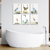 3 0f 6, Audubon-Gemälde aus dem 6. Jahrhundert Set Poster