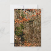 3.12x18 Empfang Card Jagd Hirschbuck Kopf Camoufla Einladung (Rückseite)