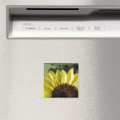 3/4 Sonnenblume Magnet (In Situ (Geschirrspüler))