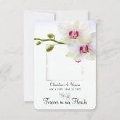 3.5 "x5" Beileid Weiße Orchideen Foto (Rückseite)