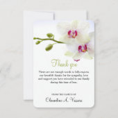 3.5 "x5" Beileid Weiße Orchideen Foto (Vorderseite)