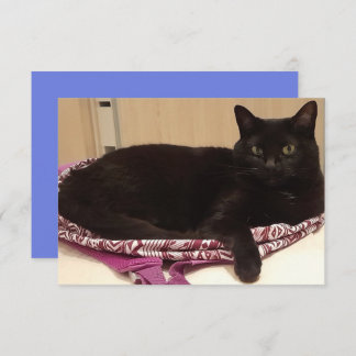 3,5 Zoll x 5 Zoll Flachbildschirm Karte