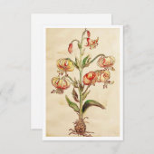 3,5 Zoll x 5 Zoll Flat Dankeschön Karte (Vorne/Hinten)