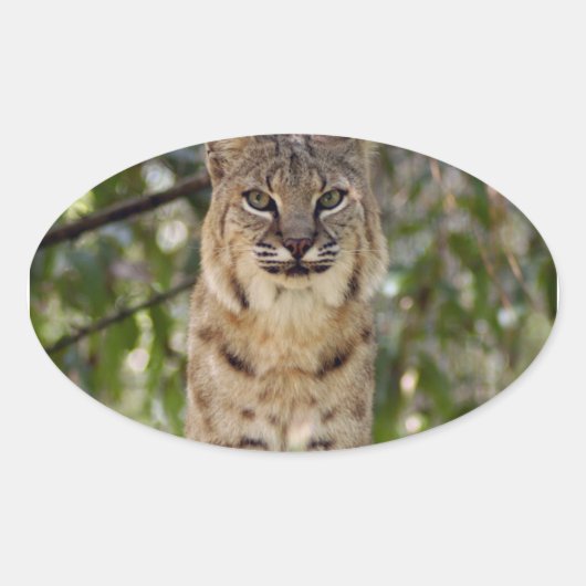 3.5x3.5-Template-Oval-Magnet Ovaler Aufkleber (Vorderseite)