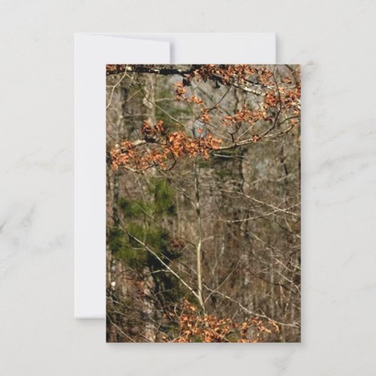 3.5x5 R.S.V.P. Kartenjagd Hirschbuck Kopf Camoufla Einladung (Rückseite)