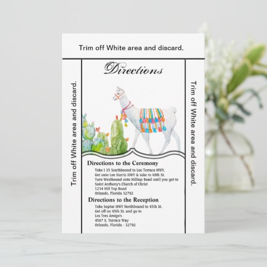 3.5x6 Fahrtkarte Boho Llama Bohemisch Cacti De Einladung (Stehend Vorderseite)