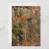 3.5x6 Fahrtkarte nach Camouflage des Dosenbucks Einladung (Rückseite)