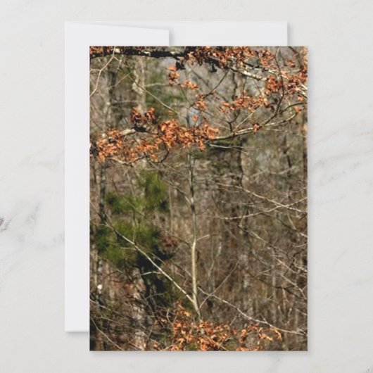 3.5x6 Fahrtkarte nach Camouflage des Dosenbucks Einladung (Rückseite)