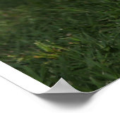 3 Adorable Saint Bernard Welpen in einem Barrel Poster (Ecke)