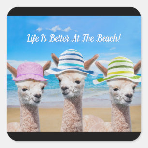 3 Alpacas Leben ist am Strand besser! DIY-Meldung Quadratischer Aufkleber
