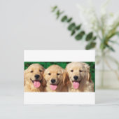 3 Amigos Postkarte (Stehend Vorderseite)