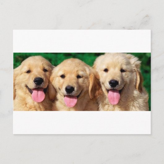 3 Amigos Postkarte (Vorderseite)